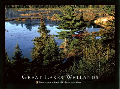 Great Lakes Wetlands: Preserve them unimpaired for future generations